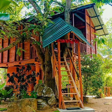 Sigiri Sky Home & Treehouse Sigiriya Esterno foto