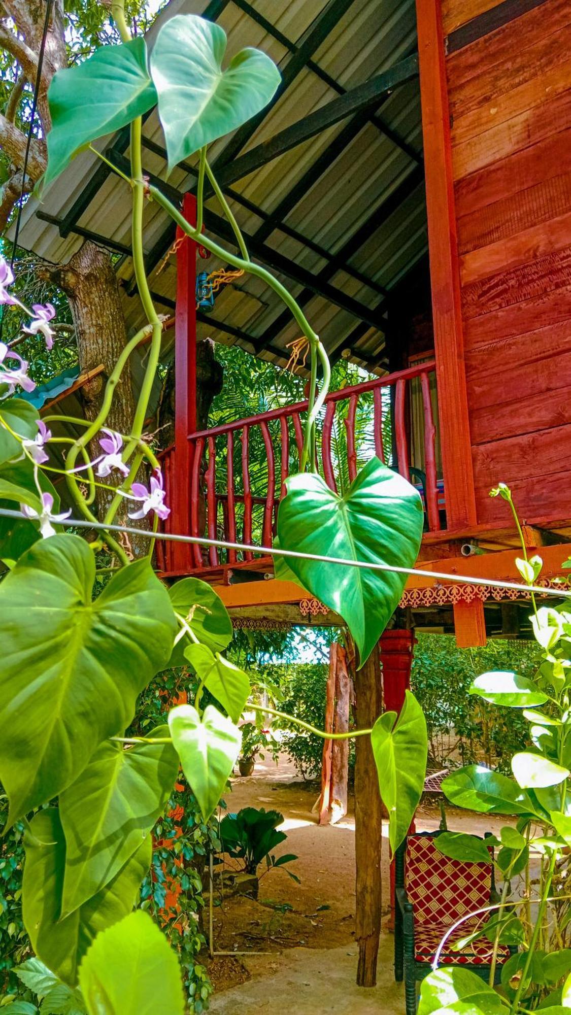 Sigiri Sky Home & Treehouse Sigiriya Esterno foto