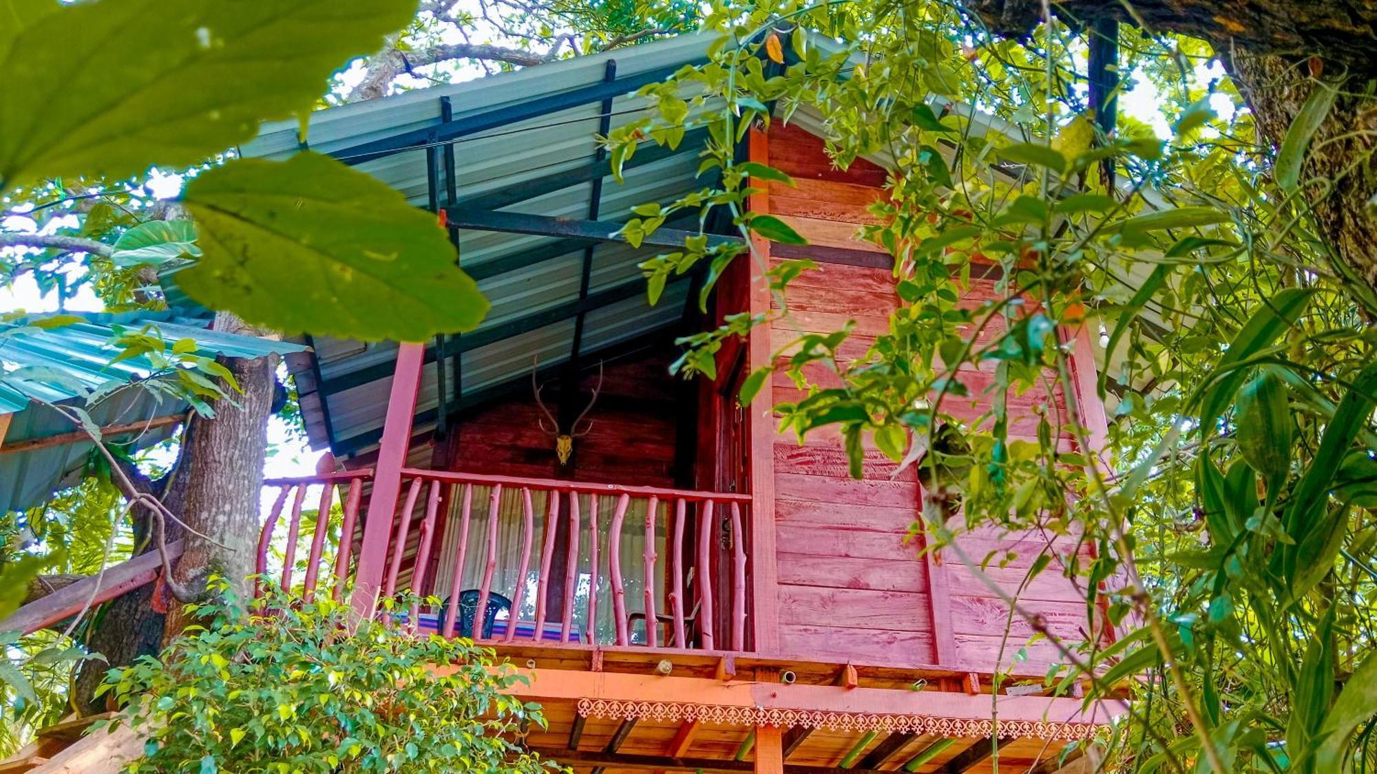 Sigiri Sky Home & Treehouse Sigiriya Esterno foto