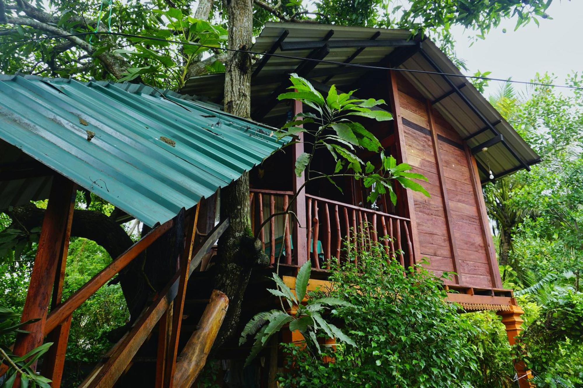 Sigiri Sky Home & Treehouse Sigiriya Esterno foto