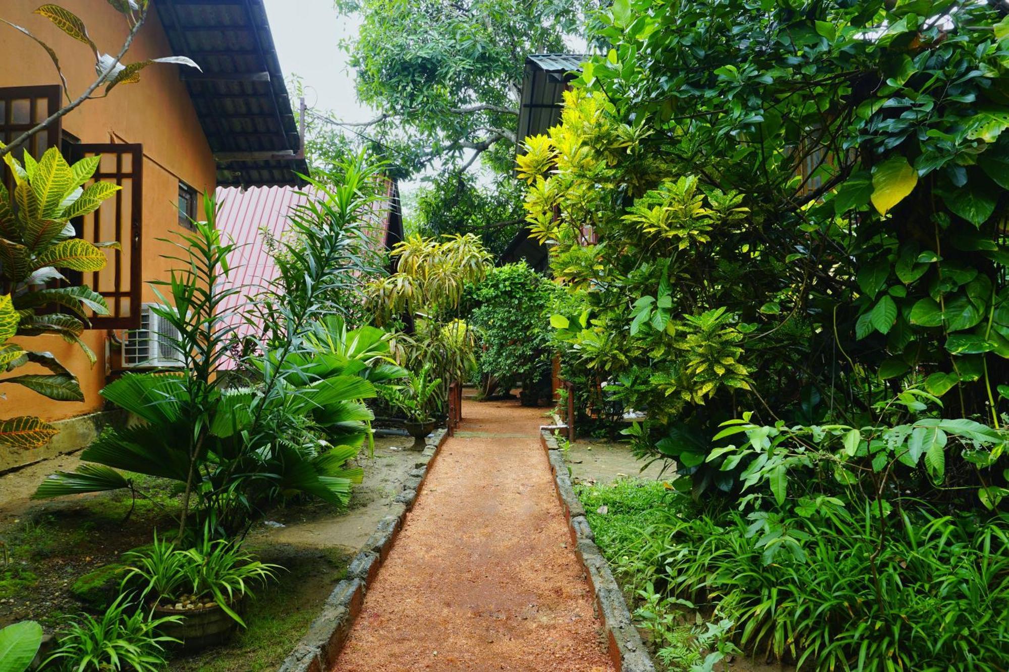 Sigiri Sky Home & Treehouse Sigiriya Esterno foto